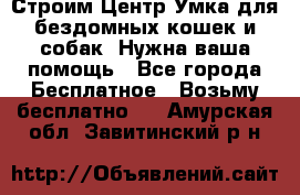 Строим Центр Умка для бездомных кошек и собак! Нужна ваша помощь - Все города Бесплатное » Возьму бесплатно   . Амурская обл.,Завитинский р-н